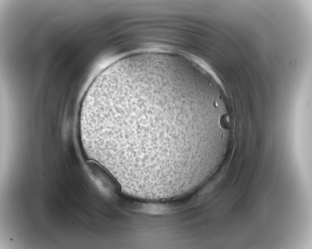 X0000086051379200704091201