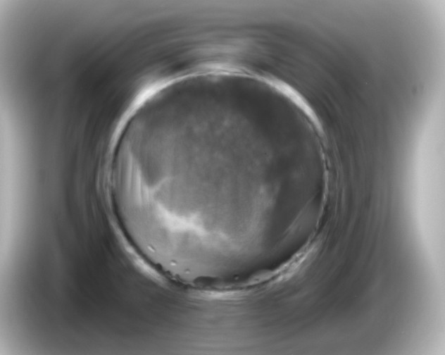 X0000086051381200704091201
