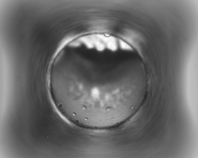 X0000086051383200704091201