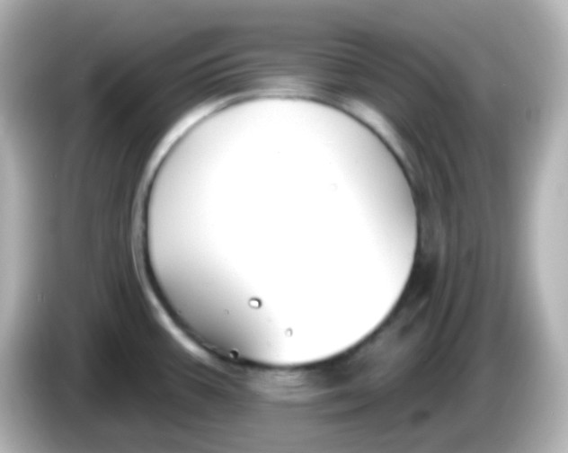 X0000086051387200704091201