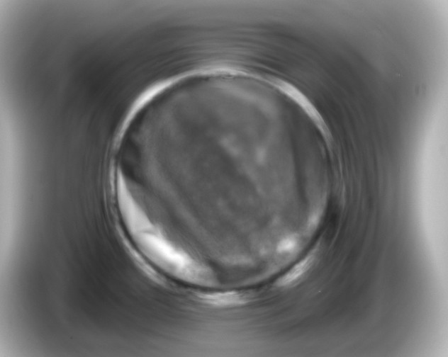 X0000086051388200704091201