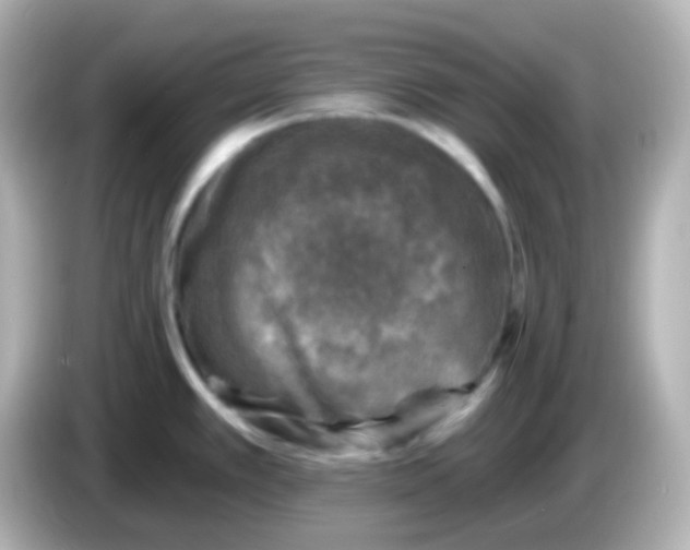 X0000086051389200704091201