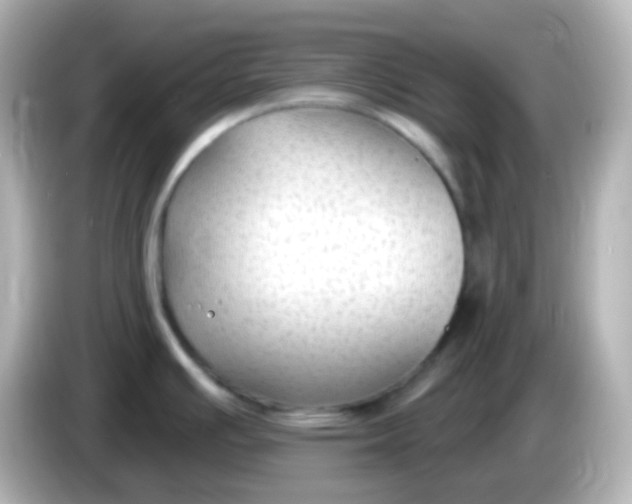 X0000086051391200704091201