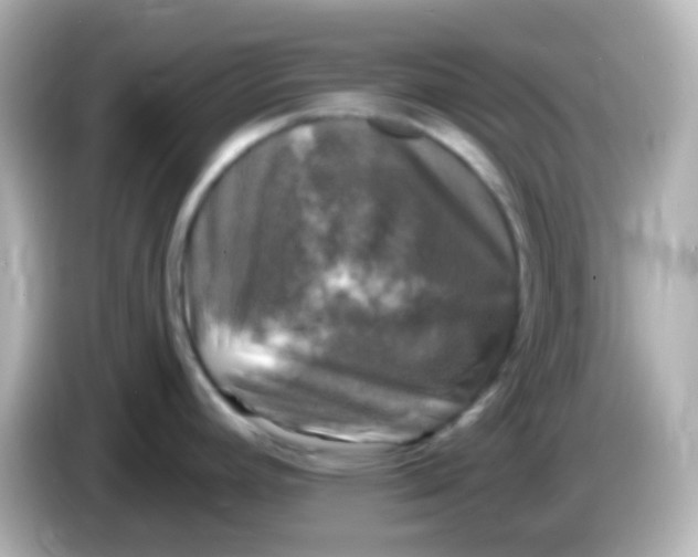 X0000086051392200704091201