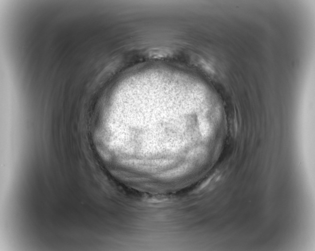 X0000086051393200704091200