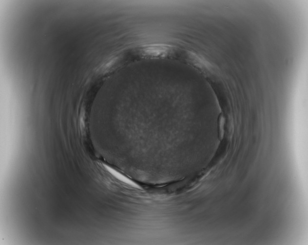 X0000086051394200704091200