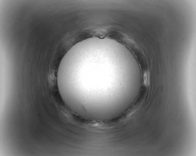 X0000086051395200704091201