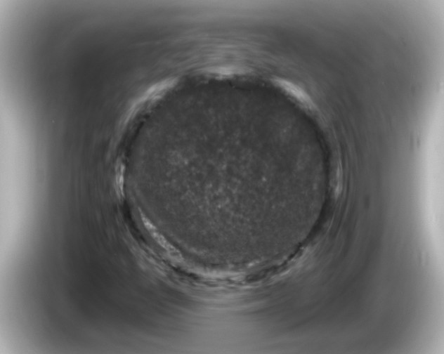 X0000086051398200704091201