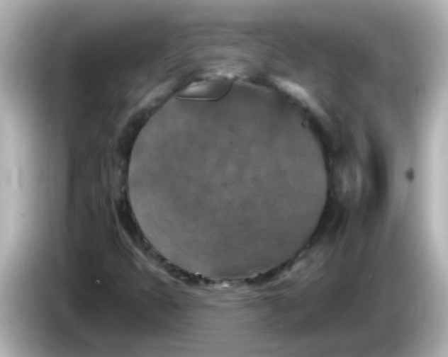 X0000086051399200704091201