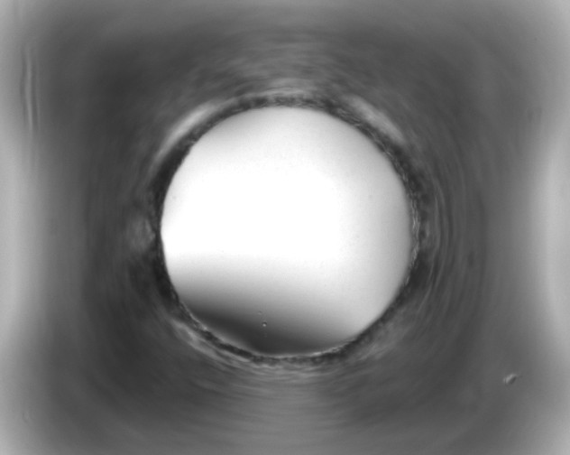X0000086051400200704091201