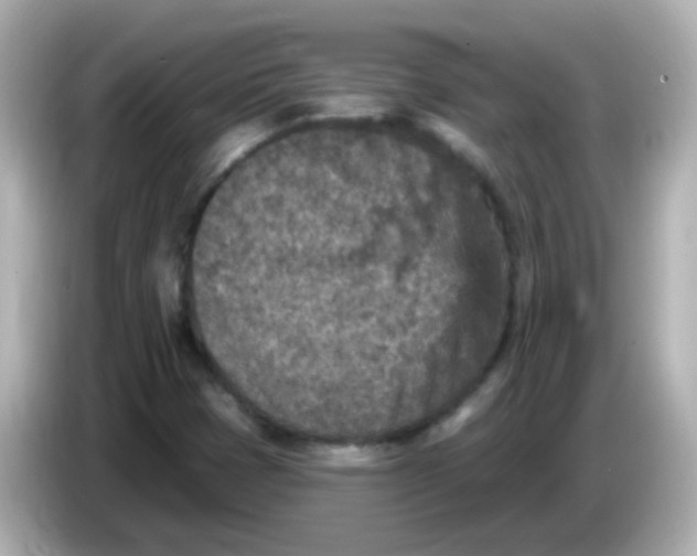 X0000086051401200704091201