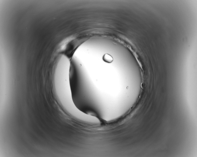X0000086051402200704091201