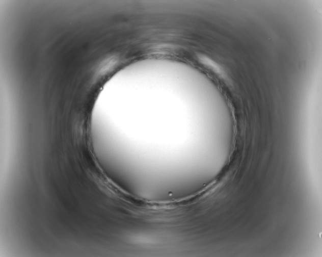 X0000086051403200704091201