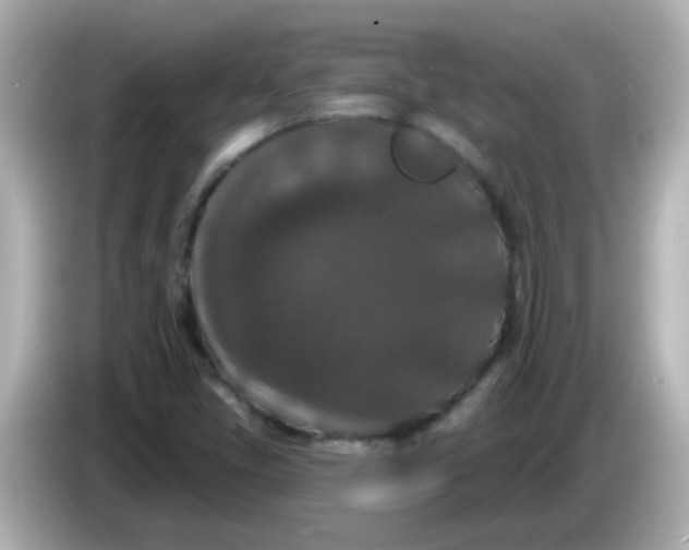 X0000086051405200704091201