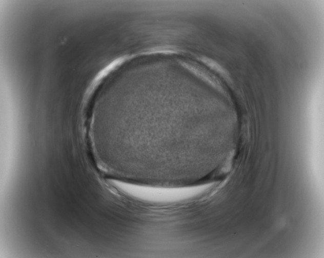 X0000086051406200704091201