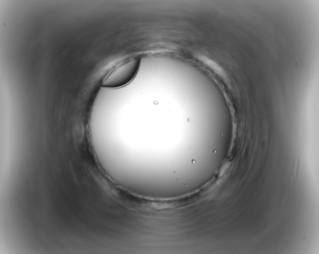X0000086051407200704091201