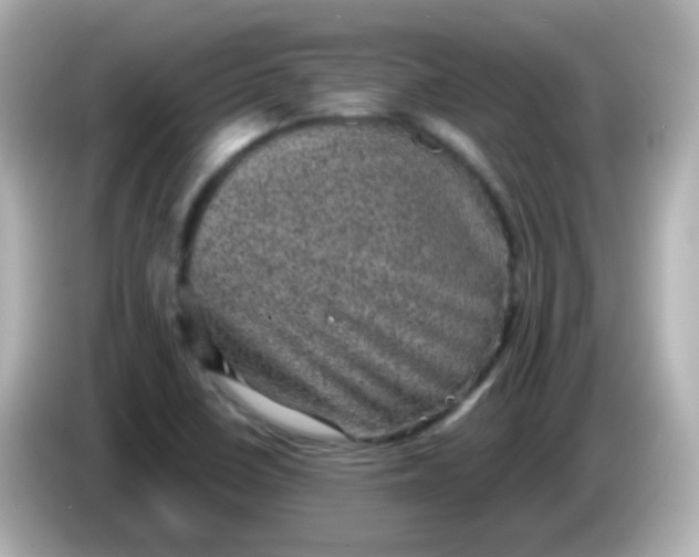 X0000086051410200704091201