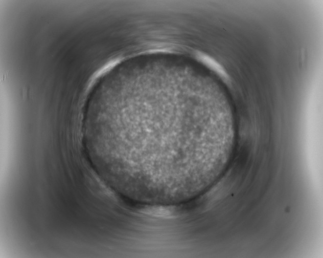 X0000086051411200704091201