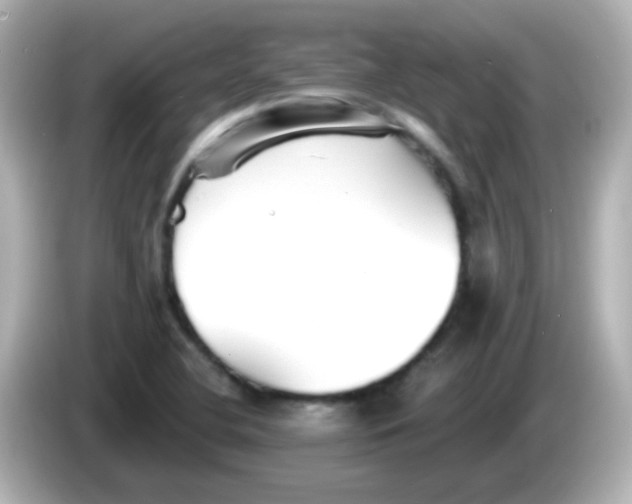 X0000086051412200704091201