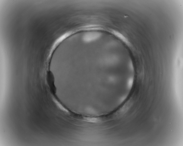X0000086051413200704091201