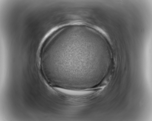 X0000086051414200704091201