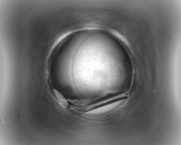 X0000086051415200704091201
