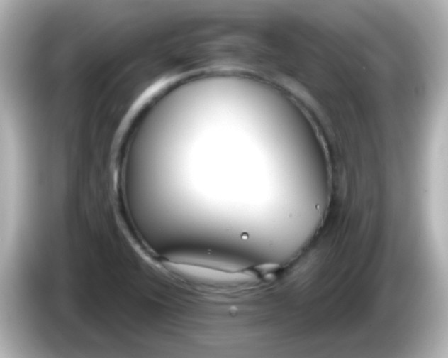 X0000086051416200704091201