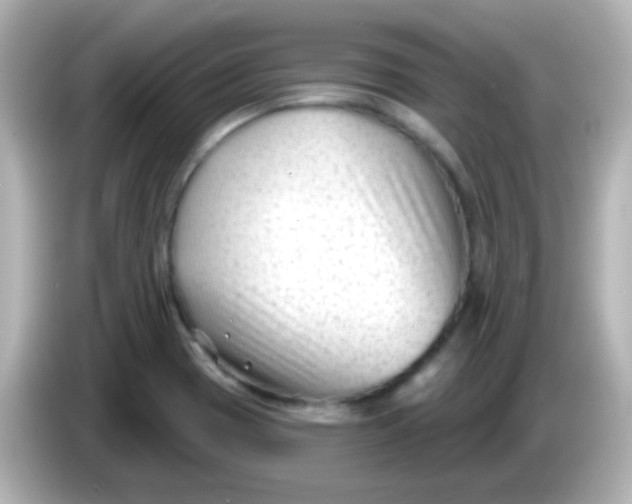 X0000086051417200704091201