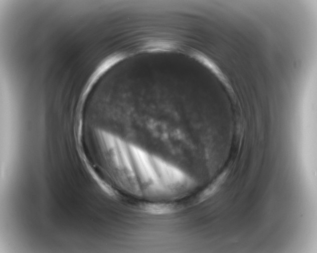 X0000086051418200704091201
