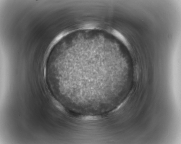 X0000086051419200704091201