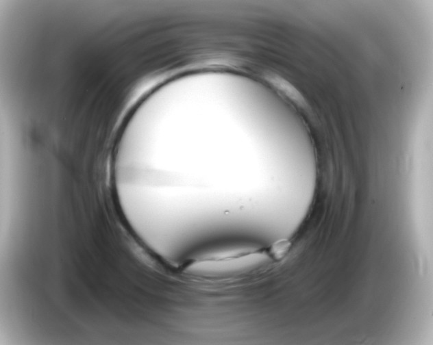 X0000086051420200704091201