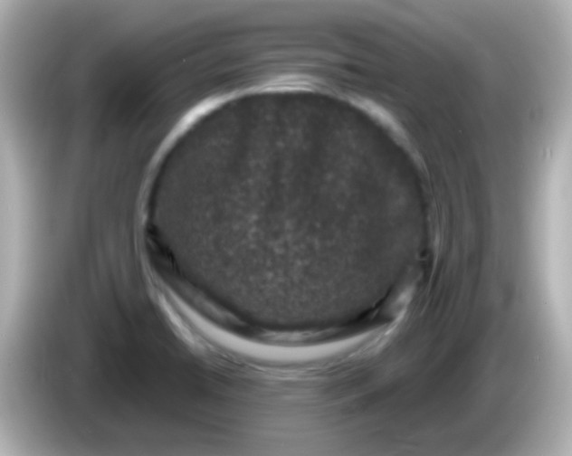 X0000086051422200704091201