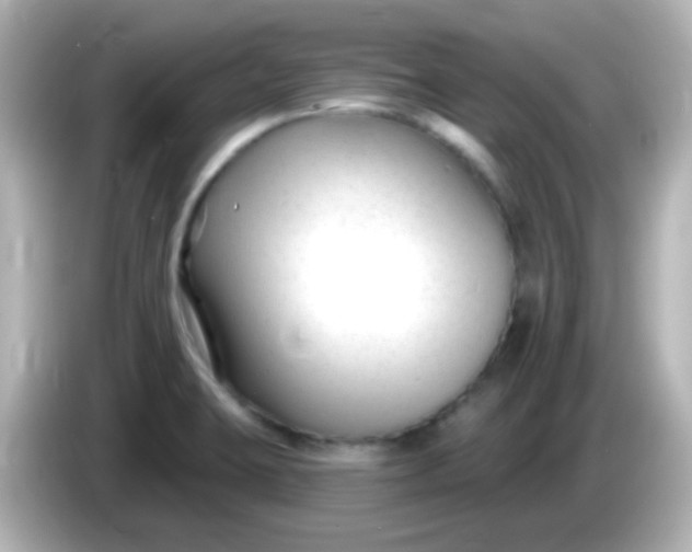 X0000086051423200704091201