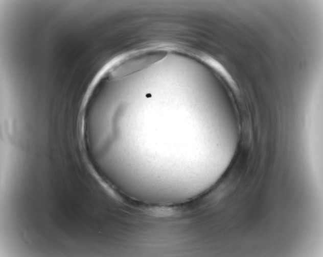X0000086051424200704091201
