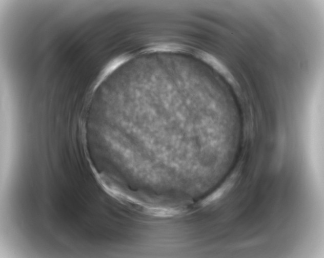 X0000086051425200704091201