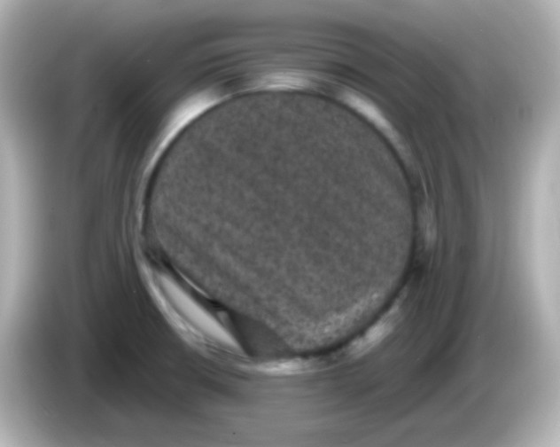 X0000086051426200704091201