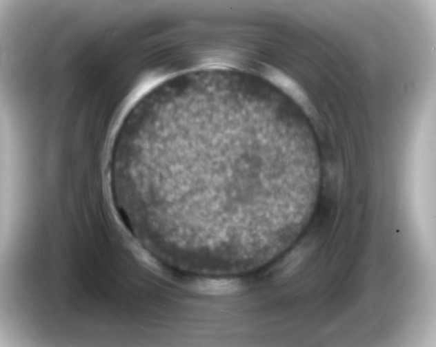 X0000086051427200704091201