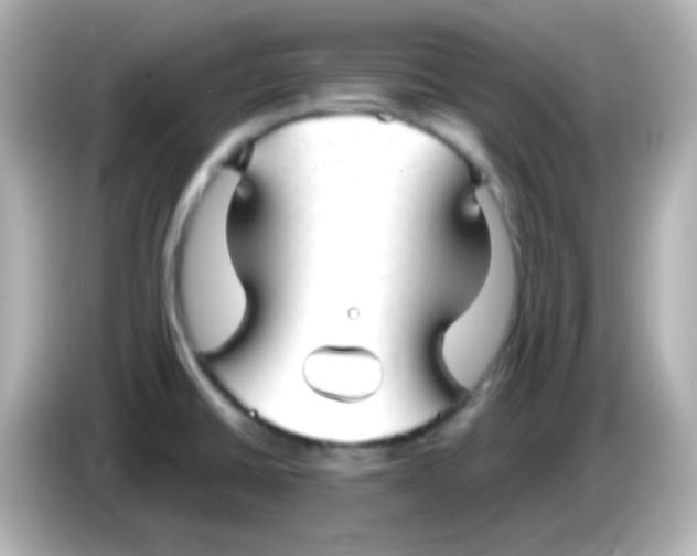 X0000086051430200704091201