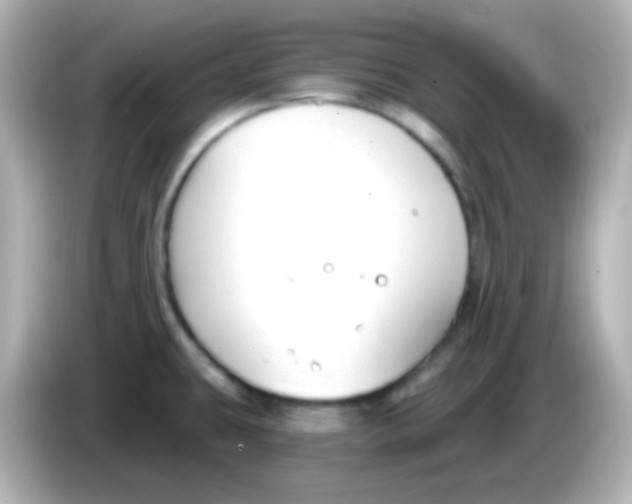 X0000086051431200704091201