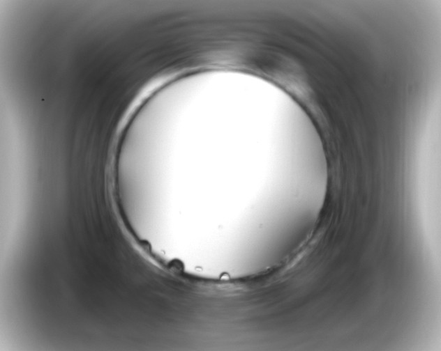 X0000086051432200704091201