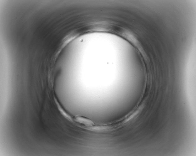 X0000086051433200704091201