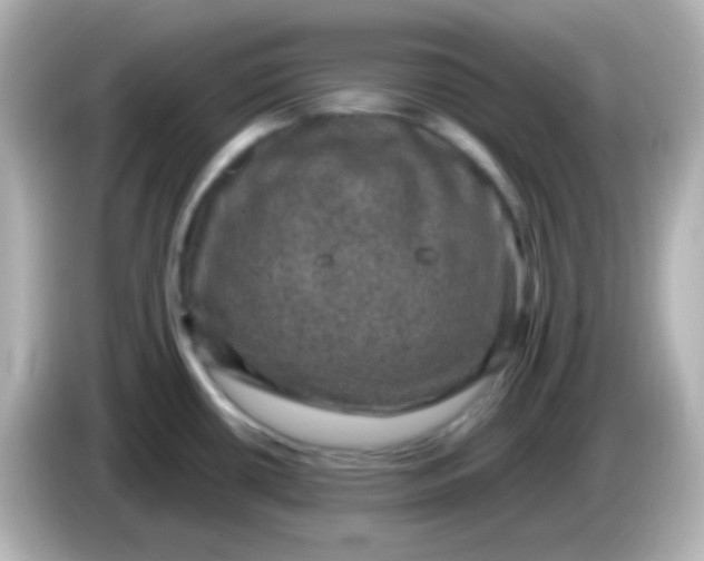 X0000086051434200704091201