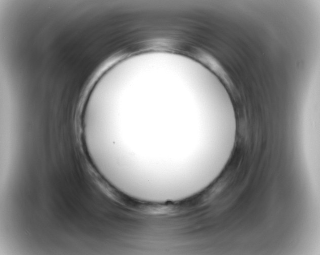 X0000086051435200704091201