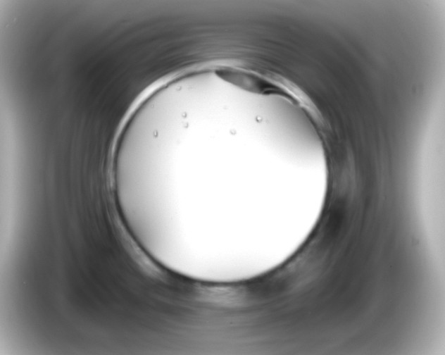 X0000086051436200704091201