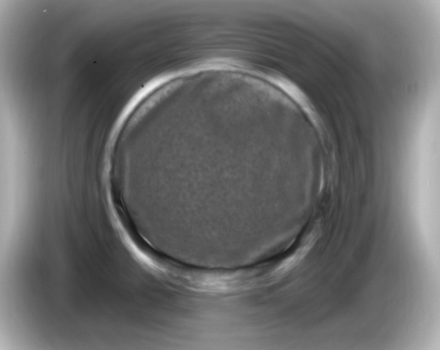 X0000086051438200704091201