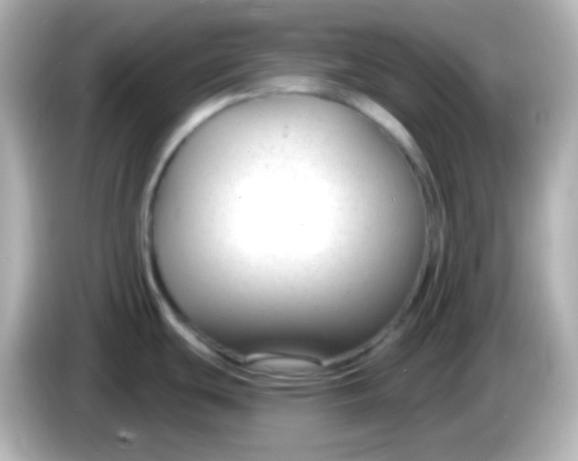 X0000086051439200704091201