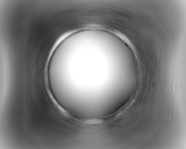 X0000086051440200704091201