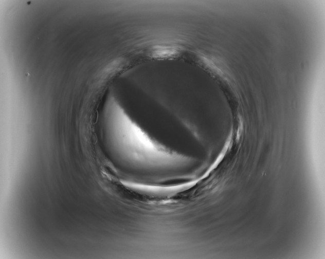 X0000086051441200704091200