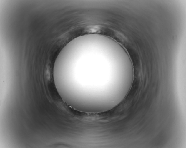 X0000086051442200704091200