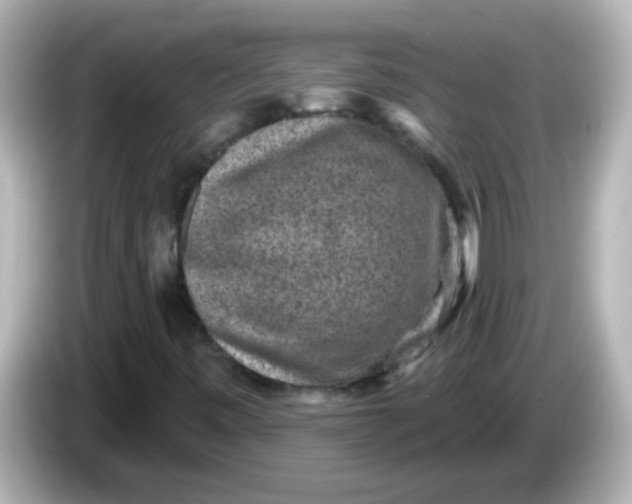 X0000086051443200704091200